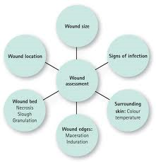Learning Assignment and Assessment Strategies - Wound Vac dressings
